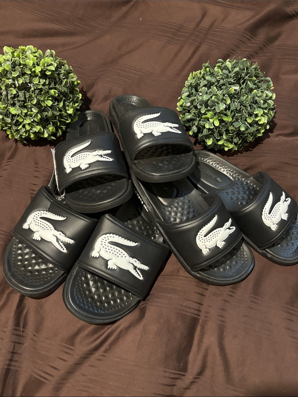 Lacoste Black Slides with White Crocodile Logo